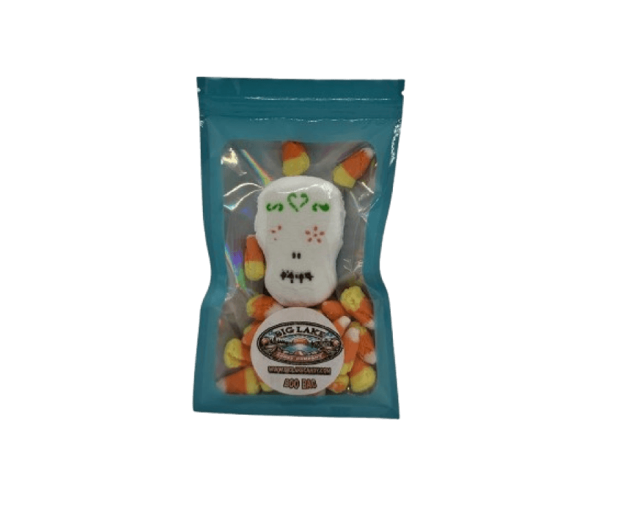 Boo Bags